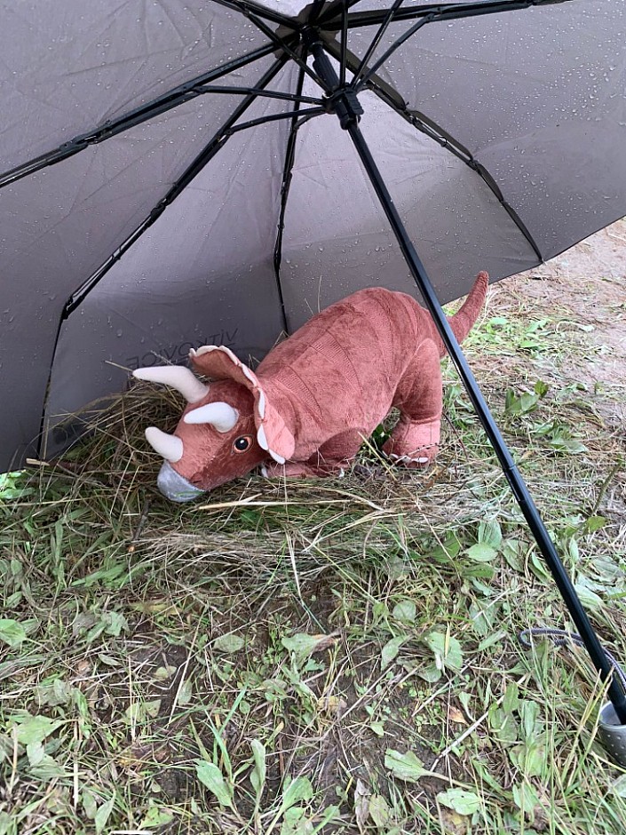 Foto tábor 3.7.2024 Podlesí (2)