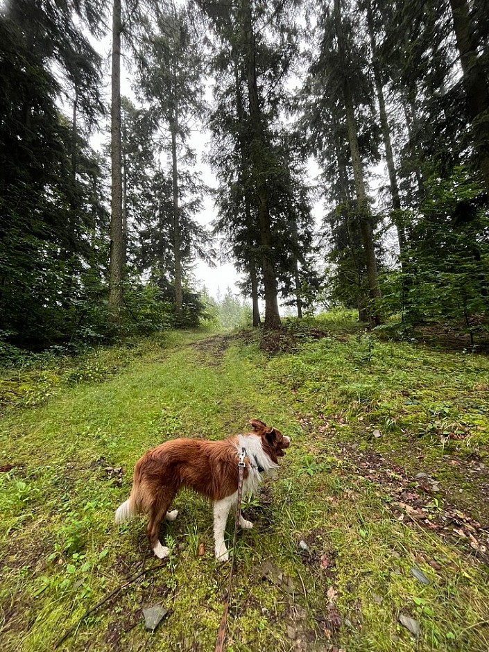 Turnaje a soutěže 8.7.2024 Podlesí (9)