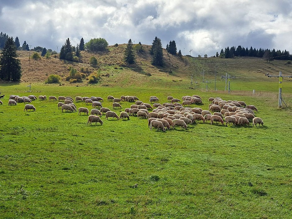 Chata Plesnivec 27.-29.9.2024 Vysoké Tatry a Poprad (30)