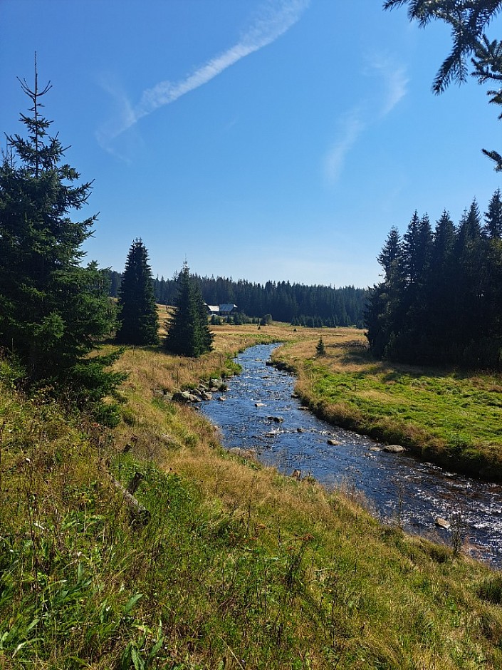 28-08-2024 Tříjezerní slať, Roklanský potok a Modrava (23)