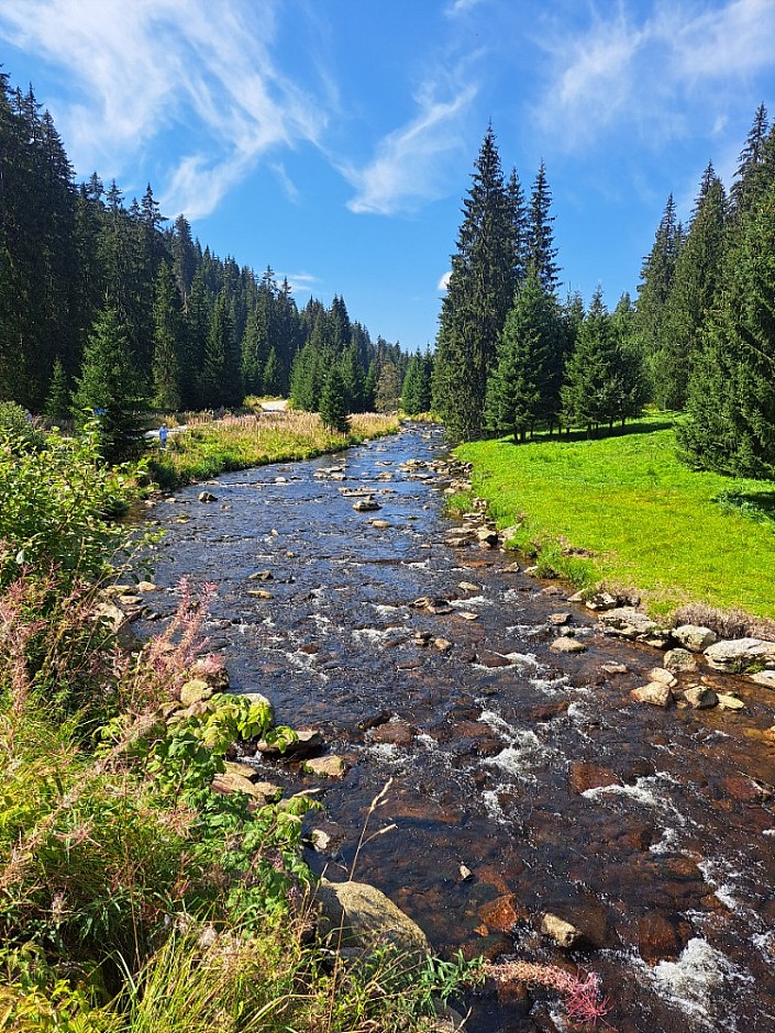 28-08-2024 Tříjezerní slať, Roklanský potok a Modrava (38)