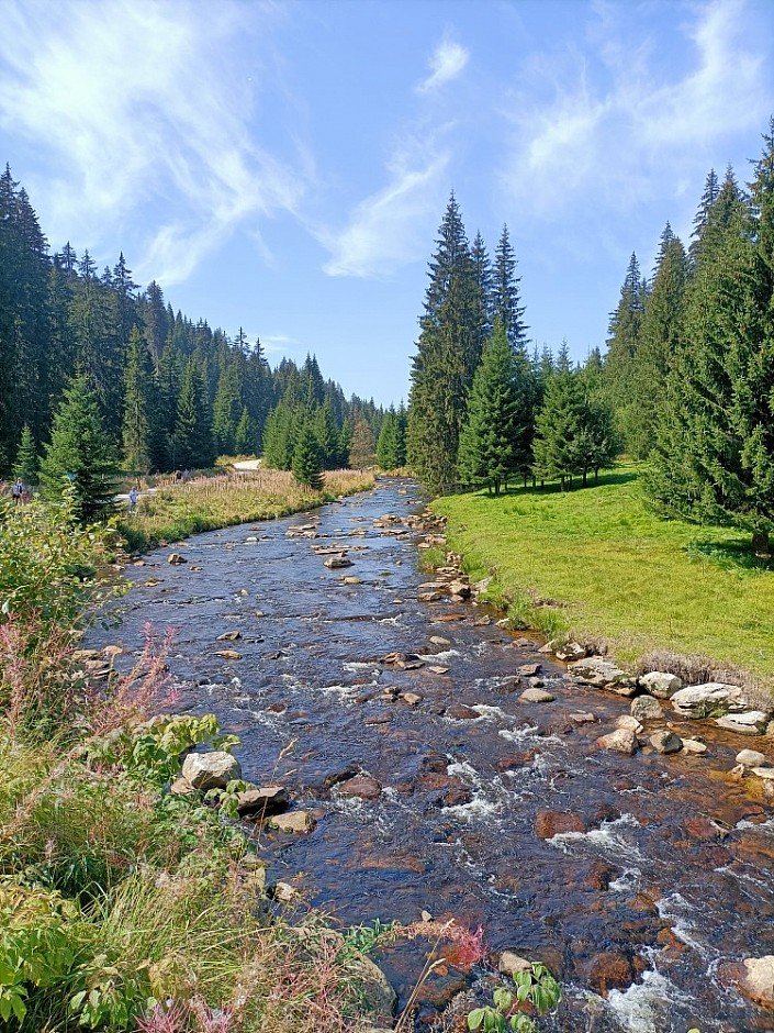 28-08-2024 Tříjezerní slať, Roklanský potok a Modrava (74)