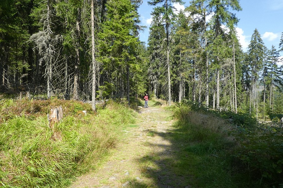 28-08-2024 Trijezerni slat, Roklansky potok a Modrava (108)