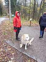 Hájenka Janíkovo sedlo 10.-12.11 (90) Nedělní disc golf