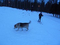 Běžkařské a Sokecovy družinovky 27.-28.2.2018 Bělský les a klubovna (10)