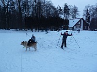 Běžkařské a Sokecovy družinovky 27.-28.2.2018 Bělský les a klubovna (6)