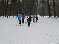 Běžkařské družinovky 13.-14.2.2018 Bělský les (20)