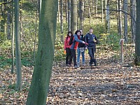 3-discgolf Hájenka 9.-11.11.2018 Janíkovo sedlo Kopřivnice (51)