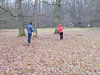 Discgolf Kunovický les 28.12.2018-1.1.2019 Silvestr UH Sady (6)