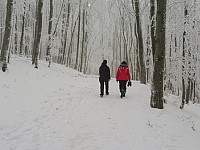 Velká Javořina 28.12.2018-1.1.2019 Silvestr UH Sady (7)