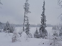 Běžky Štrbské Pleso Vysoké Tatry 2.-4.2.2018 Poprad (9)