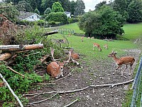 1 Na kolech Langhenthal a Sankt Urban Švýcarsko 15.-22.8.2021 (12)