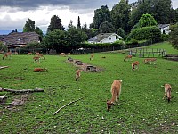 1 Na kolech Langhenthal a Sankt Urban Švýcarsko 15.-22.8.2021 (14)