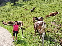 12-Rigi Švýcarsko 15.-22.8 (33)