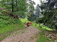 12-Rigi Švýcarsko 15.-22.8 (37)