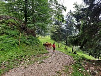 12-Rigi Švýcarsko 15.-22.8 (38)