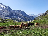 14-Kandersteg Oeschinensee Švýcarsko 15.-22.8.2021 (20)