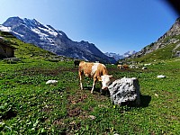 14-Kandersteg Oeschinensee Švýcarsko 15.-22.8.2021 (22)