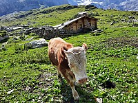 14-Kandersteg Oeschinensee Švýcarsko 15.-22.8.2021 (24)