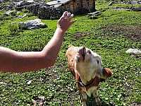 14-Kandersteg Oeschinensee Švýcarsko 15.-22.8.2021 (25)