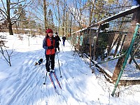 Běžkování 14.2.2021 Bělský les (8)