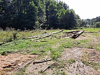 Bourání a odvoz tábora 14.8. a 23.8.2021 z Podlesí (28)