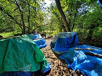 Bourání a odvoz tábora 14.8. a 23.8.2021 z Podlesí (41)