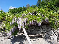 Makču Pikču 6.6.2021 Skanzen (28)