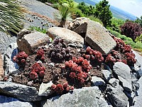 Makču Pikču 6.6.2021 Skanzen (32)