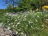 Makču Pikču 6.6.2021 Skanzen (52)