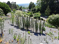 Makču Pikču 6.6.2021 Skanzen (53)