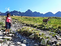 Přes 5 chat a Priečne sedlo 7.8.2021 Vysoké Tatry (78)