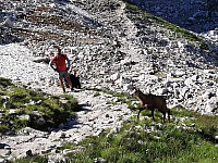 Přes 5 chat a Priečne sedlo 7.8.2021 Vysoké Tatry (83)