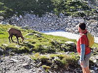 Přes 5 chat a Priečne sedlo 7.8.2021 Vysoké Tatry (85)