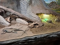 ZOO Brno Poslední puchýř 19.-21.11.2021 Brno (7)