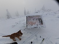 2-běžky z Ovčárny až na Stříbrné hory 10.-12.12.221 Jeseníky (14)