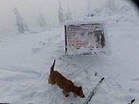 2-běžky z Ovčárny až na Stříbrné hory 10.-12.12.221 Jeseníky (15)