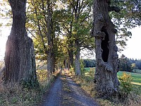 Stříbrné Hory 8.-10.10.2021 Rabštejn Janovice Karlov (21)