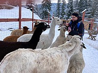 5-nedělní muzea a mostíky Zakopane 3.-5.12.2021 Polské Tatry (28)