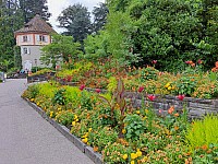 4-Insel Mainau Švýcarsko 3.-11.8.2024 počtvrté (17)