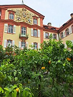 4-Insel Mainau Švýcarsko 3.-11.8.2024 počtvrté (19)