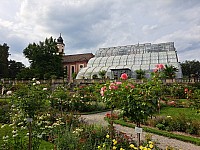 4-Insel Mainau Švýcarsko 3.-11.8.2024 počtvrté (27)