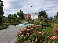 4-Insel Mainau Švýcarsko 3.-11.8.2024 počtvrté (30)