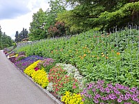 4-Insel Mainau Švýcarsko 3.-11.8.2024 počtvrté (44)