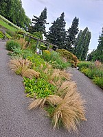 4-Insel Mainau Švýcarsko 3.-11.8.2024 počtvrté (48)