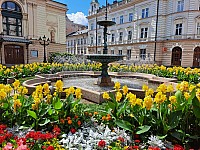 Zamek Sulkowskich a Stara fabryka Bielsko-Biala 21.7.2024 Polsko (16)