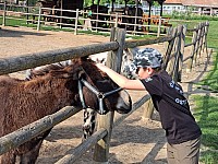 Cyklovýprava UH Sady 3.-5.5 (7)