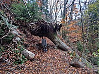 Piecky a Kláštorisko 28.10.2024 Slovenský Raj (25)