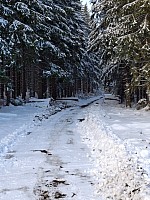 Stříbrné Hory a Jeseníky 6.-8.12.2024 běžkařské (20)