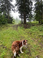 Turnaje a soutěže 8.7.2024 Podlesí (5)